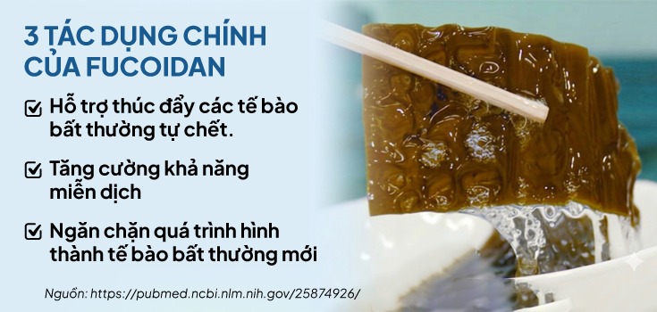 Oreivew-top-4-fucoidan-nhat-ban-12.jpg